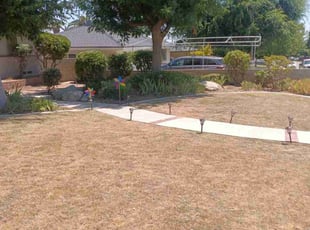 Bush Trimming by Sofia Lopez for DeShawn T. in Bakersfield, CA