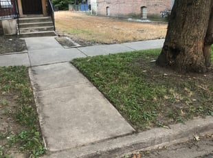 Weeding by Larry Cornelious for Darnell H. in Chicago, IL