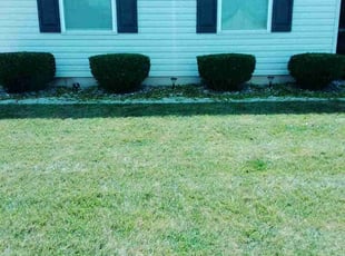 Gwen C.'s Lawn Care service result