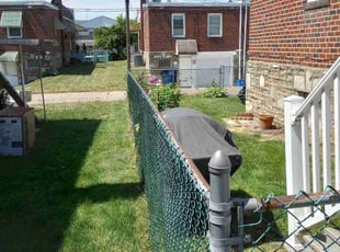 Bush Trimming by Matt Brady for Dena S. in Philadelphia, PA