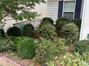 Bush Trimming by Enrique Juarez for Benedicte B. in Woodstock, GA
