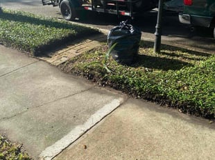 Leaf Removal by Jermaine Cooper for Jordan L. in Orlando, FL