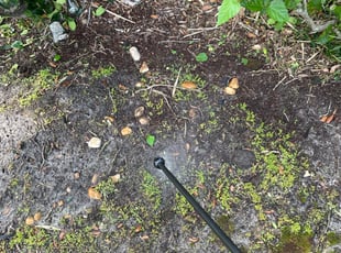 Weeding by Joseph Grasso for David J. in Orlando, FL