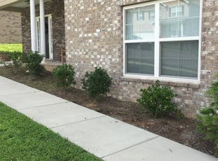 Weeding by Melvin Pryor for Byron a. in Nashville, TN