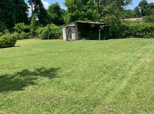 Cleanups by Charles Willard for Tiffanie C. in West Columbia, SC