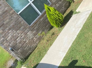 Weeding by Terrance Walker for Gray D. in Oklahoma City, OK