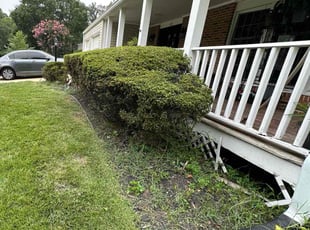 Bush Trimming by Fidel Rodriguez for Sarah P. in Springfield, VA