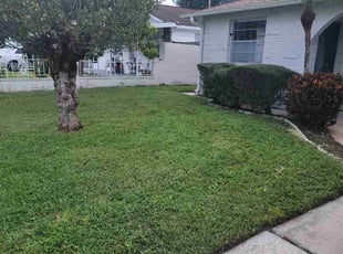 Bush Trimming by Carlos Hernandez for Derek C. in Tampa, FL