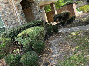 Bush Trimming by Juan Mezomo for Demond C. in Humble, TX