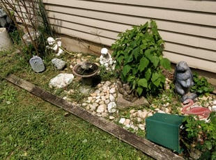 Weeding by Yuriy Pasternak for donna n. in Willow Grove, PA