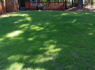 chris F.'s Lawn Mowing service result