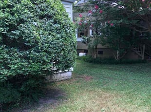 Bush Trimming by Eric Azcona for Gary H. in Birmingham, AL