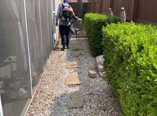 Cleanups by Alexander Flores for Michael L. in Dallas, TX