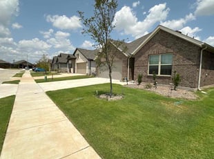 Ariel G.'s Lawn Service service result