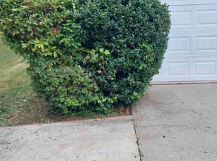 Bush Trimming by Joshua Walker for Ahmed A. in Stone Mountain, GA