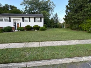 Richard W.'s Lawn Care service result