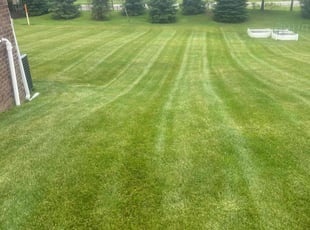 David V.'s Yard Cutting service result