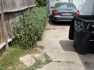 Bush Trimming by Nicole Ross for Eugene T. in Houston, TX