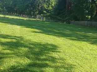 Shannun T.'s Lawn Mowing service result
