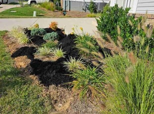 Mulching by Edinson Rivas for Precious J. in Stafford, VA