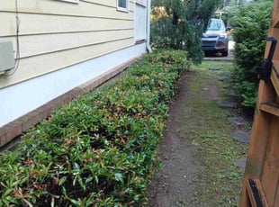 Bush Trimming by Richard Jones for Anna H. in Atlanta, GA