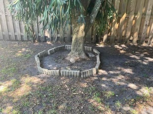 Leaf Removal by Charles Walton for Emily C. in West Palm Beach, FL