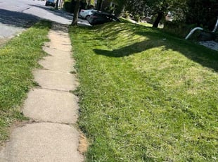 Ian C.'s Lawn Care service result