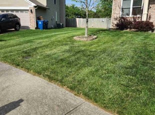 Mark L.'s Yard Cutting service result