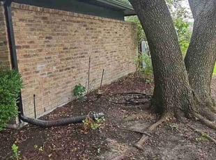 Leaf Removal by Manuel Solis Soto for Beth N. in Dallas, TX