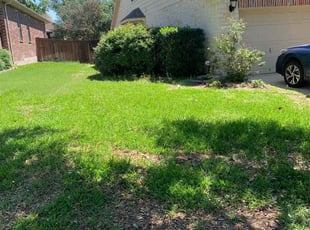 Leaf Removal by Daniel Mora for Shannon C. in San Antonio, TX