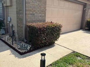 Bush Trimming by Christopher Oropeza for Abby L. in Longwood, FL