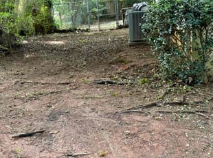Bush Trimming by B fleming for Nicole J. in Stockbridge, GA