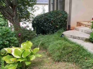 Bush Trimming by Dan Granado for Diane H. in Buford, GA