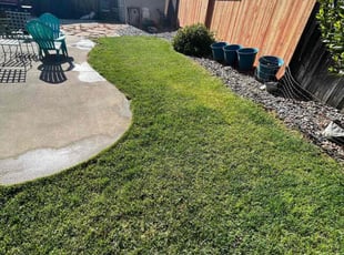 Rita B.'s Lawn Service service result
