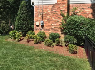 Landscaping by Angel P. for Brett K. in Fairfax, VA