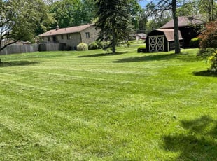 Marsalis P.'s Lawn Service service result