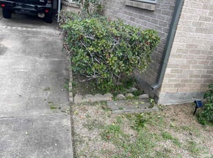 Bush Trimming by Emilius Henry for Carolee S. in Houston, TX