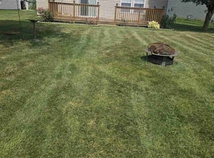 Ian L.'s Lawn Maintenance service result