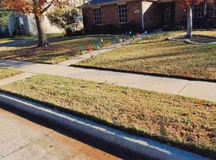 Leaf Removal by Kevin (Jesus) Valencia for Megan L. in Denton, TX