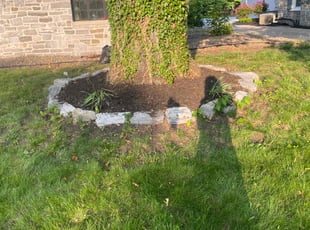 Leaf Removal by Evans Ogamba for Omer K. in Harrisburg, PA