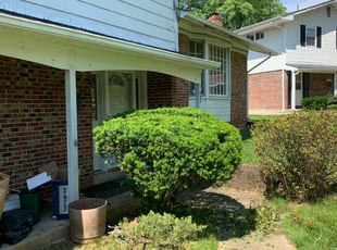 Bush Trimming by Aaron Prudhomme for Andrew P. in Lanham, MD