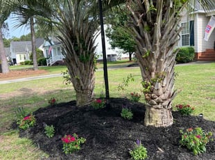 Landscaping by Jaczuile Pegues for Christopher A. in Lugoff, SC