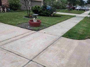 Lee M.'s Lawn Service service result