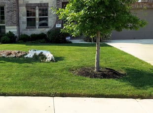 Molly A.'s Lawn Service service result