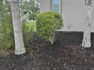 Bush Trimming by Jason Woytowitz for Jovan P. in Orlando, FL