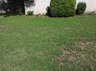Bush Trimming by Leobardo Sanchez for Logan B. in Austin, TX
