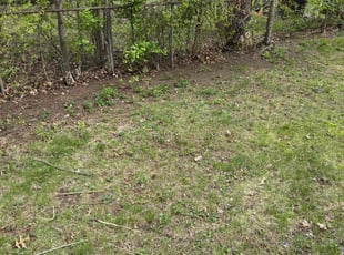 Leaf Removal by Desmond Easley for Markie Z. in Madison Heights, MI