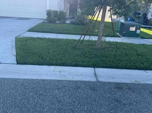 Weeding by William Chavers for Aaron B. in Riverview, FL