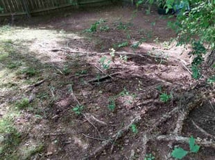 Leaf Removal by Chris Parks for Janet H. in Douglasville, GA