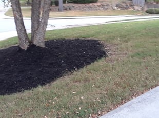 Landscaping by S M for Maya W. in Atlanta, GA